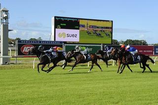 Lanciato (NZ) by Per Incanto, winner of the Group 3 Newcastle Newmarket Handicap raced at New Castle Jockey Club in 2018.